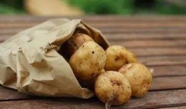 长春土豆最新爆料,揭秘种植奇迹与市场新动向